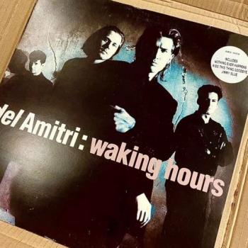 Waking Hours by Del Amitri on vinyl LP